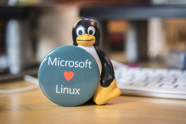 microsoft_love_linux.png